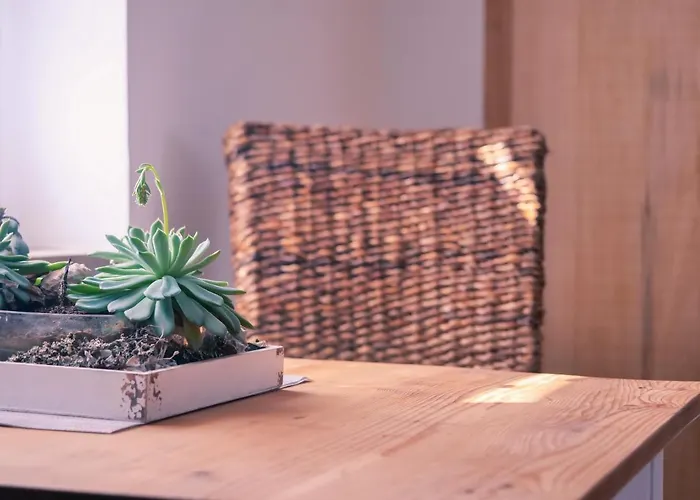 Appartement Pfalzzeit